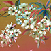 Kunihiko Uekita Gallery